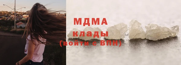 прущие грибы Абинск