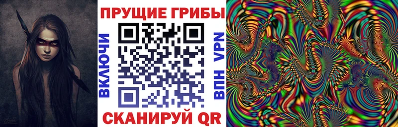 Галлюциногенные грибы Magic Shrooms где можно купить наркотик Прохладный